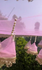 Bridal Entry Chadar For Bride Or Mayra