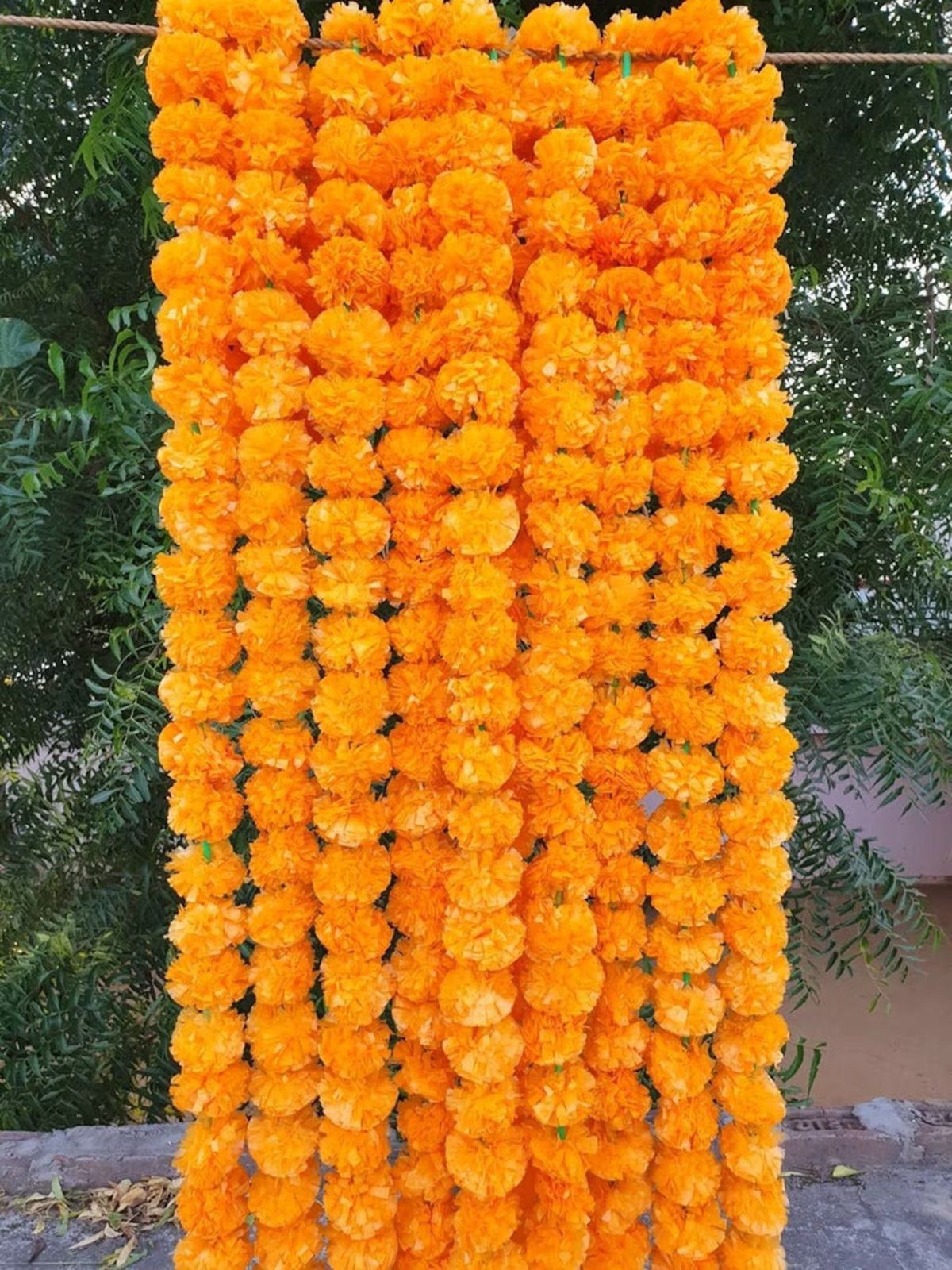 Marigold Lari Set Of 5 Pc