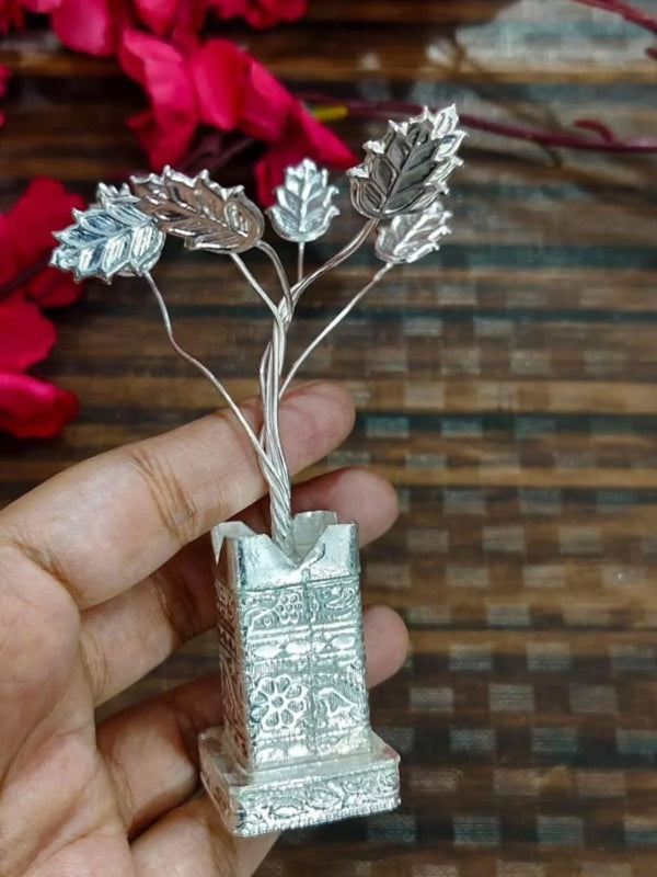 German Silver Tulsi Plant