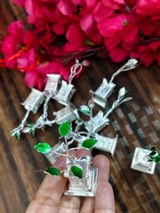 German Silver Tulsi Plant